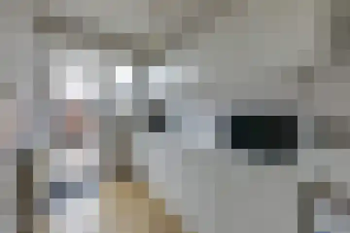 Gruttostraat 18 Velp thumbnail 29