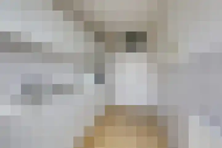 Gruttostraat 18 Velp thumbnail 30