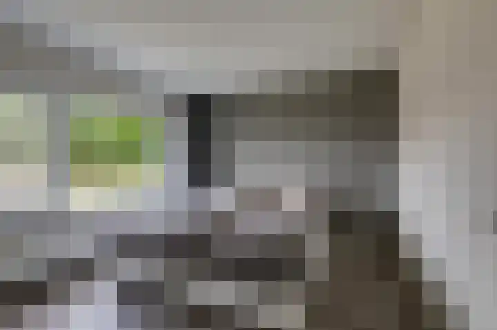 Gruttostraat 18 Velp thumbnail 32