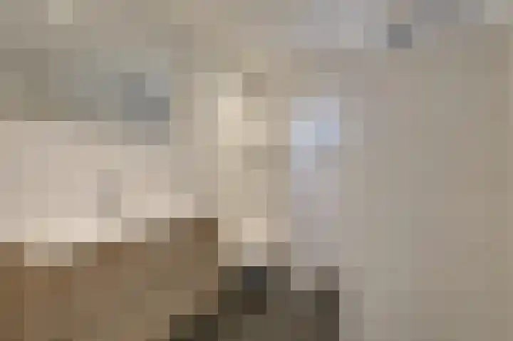 Gruttostraat 18 Velp thumbnail 39