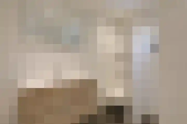 Gruttostraat 18 Velp thumbnail 40