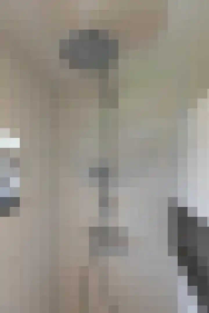 Gruttostraat 18 Velp thumbnail 41
