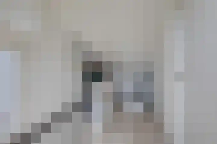 Gruttostraat 18 Velp thumbnail 44