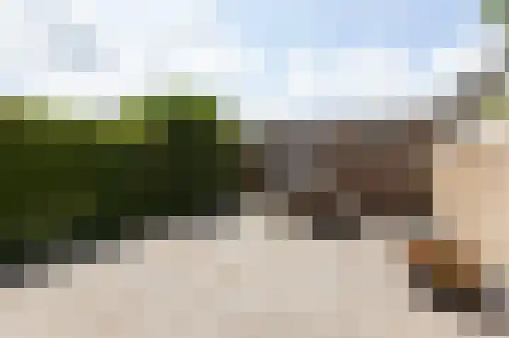 Gruttostraat 18 Velp thumbnail 48