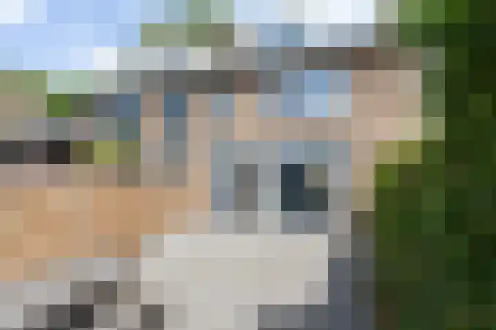 Gruttostraat 18 Velp thumbnail 50