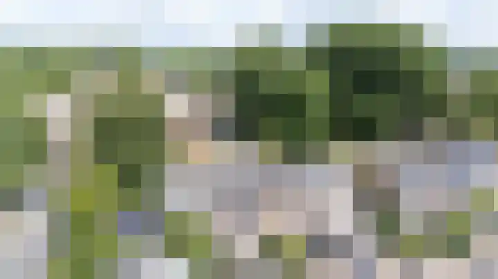 Gruttostraat 18 Velp thumbnail 56