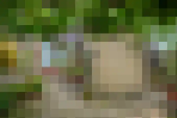 Gruttostraat 18 Westzaan thumbnail 33