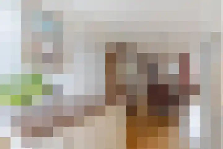 Gruttostraat 2 Groot-Ammers thumbnail 15