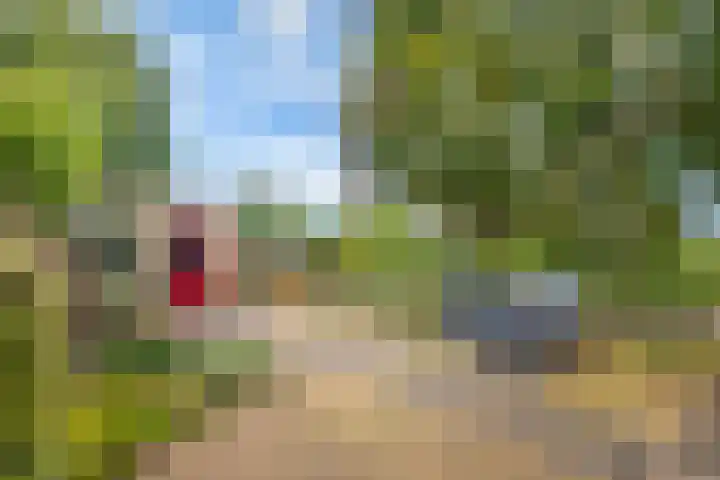 Gruttostraat 2 Groot-Ammers thumbnail 27
