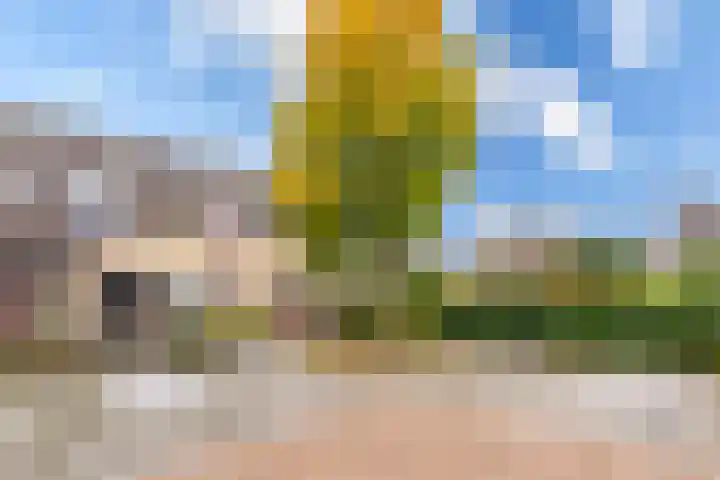 Gruttostraat 2 Groot-Ammers thumbnail 32