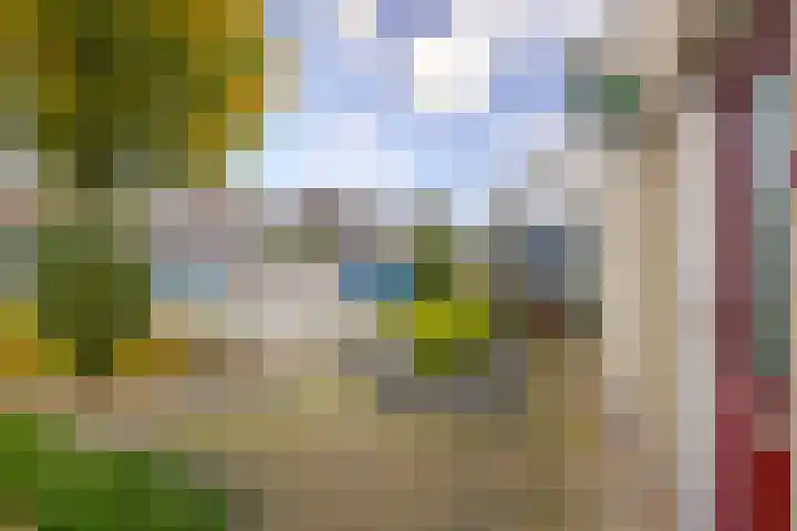 Gruttostraat 2 Groot-Ammers thumbnail 34
