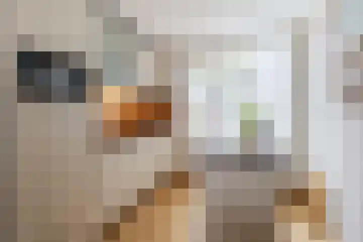 Gruttostraat 2 Groot-Ammers thumbnail 4