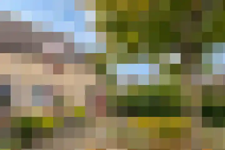 Gruttostraat 2 Groot-Ammers thumbnail 5