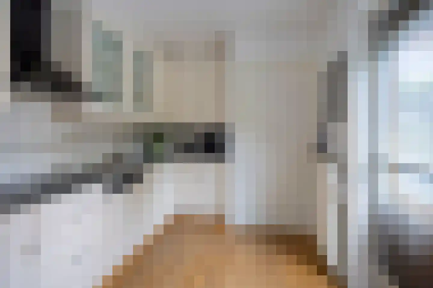 Gruttostraat 2 Nijeveen thumbnail 13
