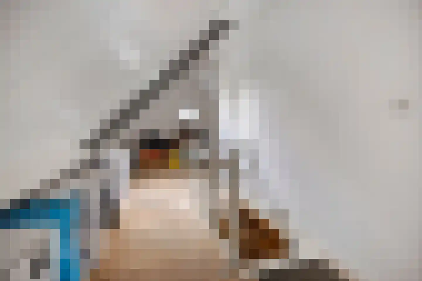 Gruttostraat 2 Nijeveen thumbnail 32