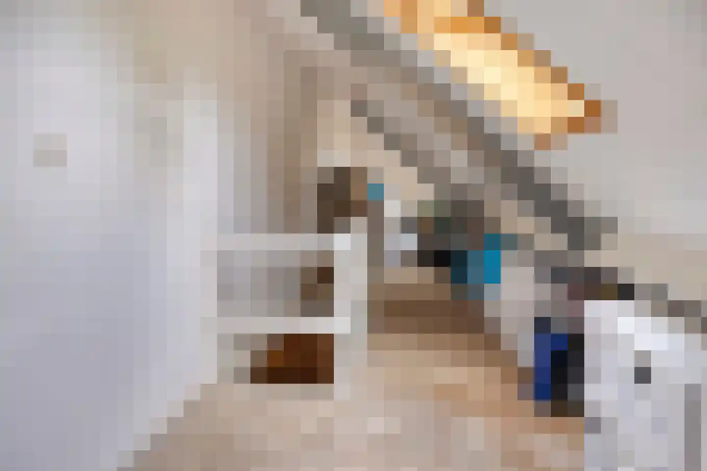 Gruttostraat 2 Nijeveen thumbnail 33