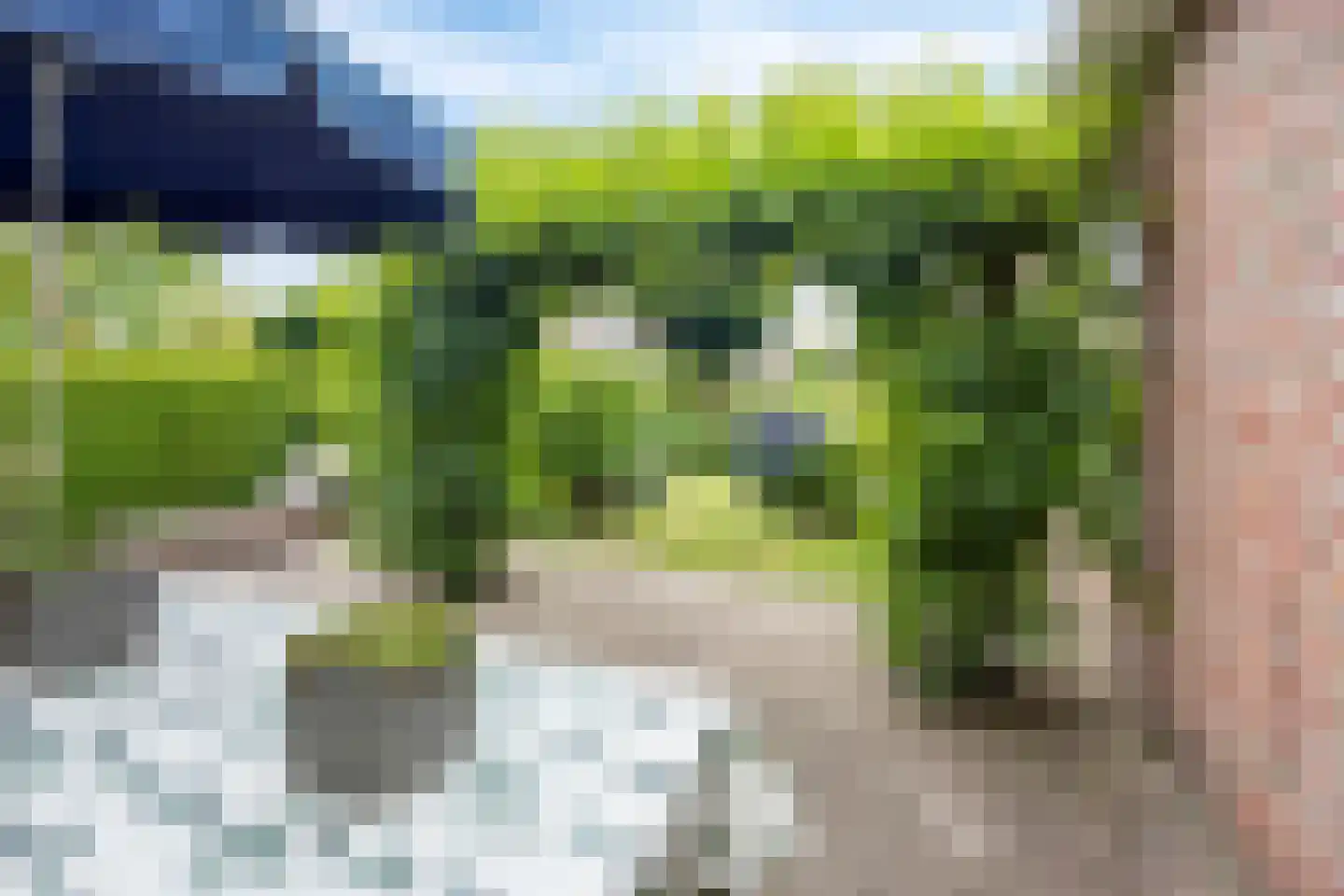 Gruttostraat 2 Nijeveen thumbnail 34
