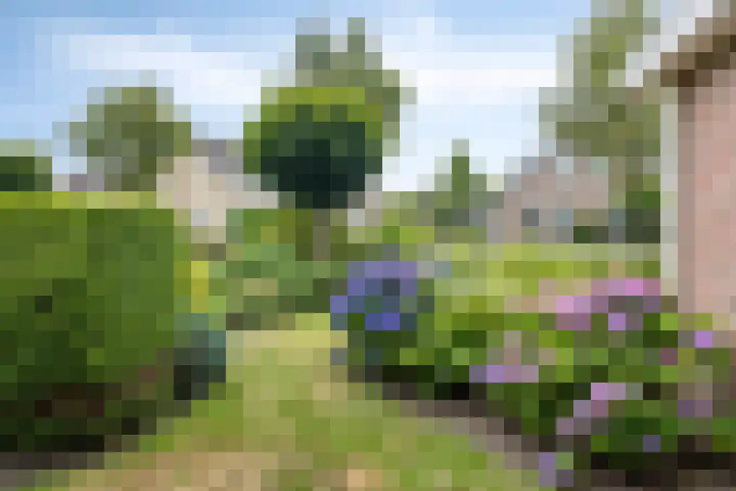 Gruttostraat 2 Nijeveen thumbnail 36