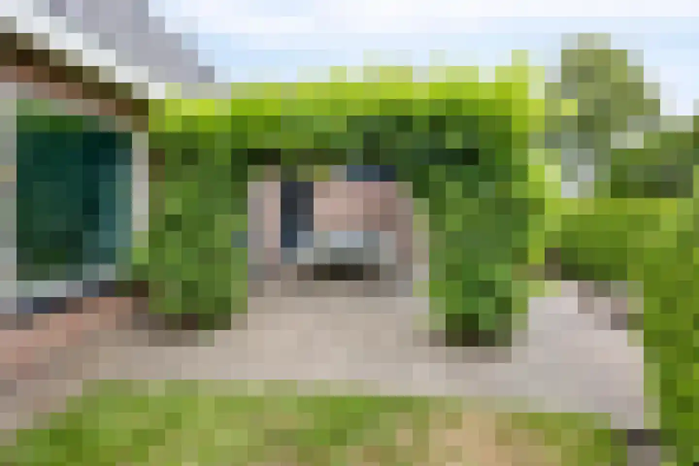 Gruttostraat 2 Nijeveen thumbnail 38