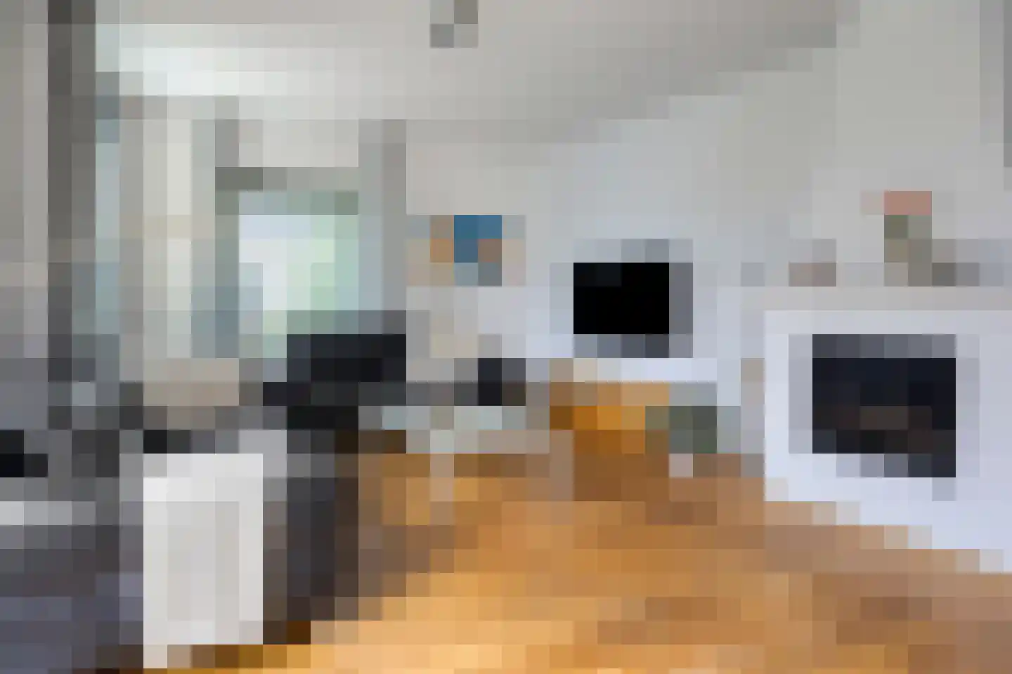 Gruttostraat 2 Nijeveen thumbnail 8
