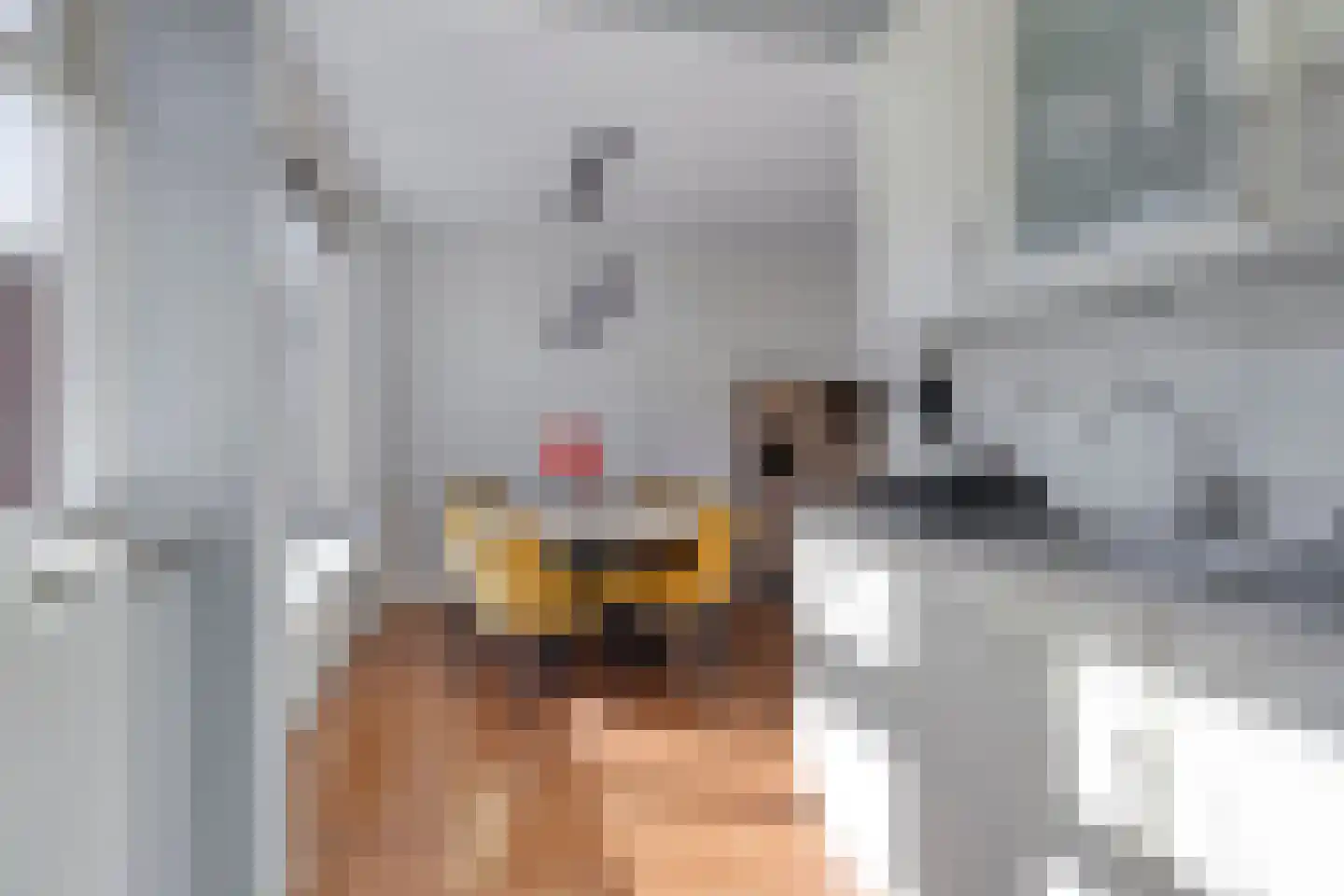 Gruttostraat 20 Foxhol thumbnail 9