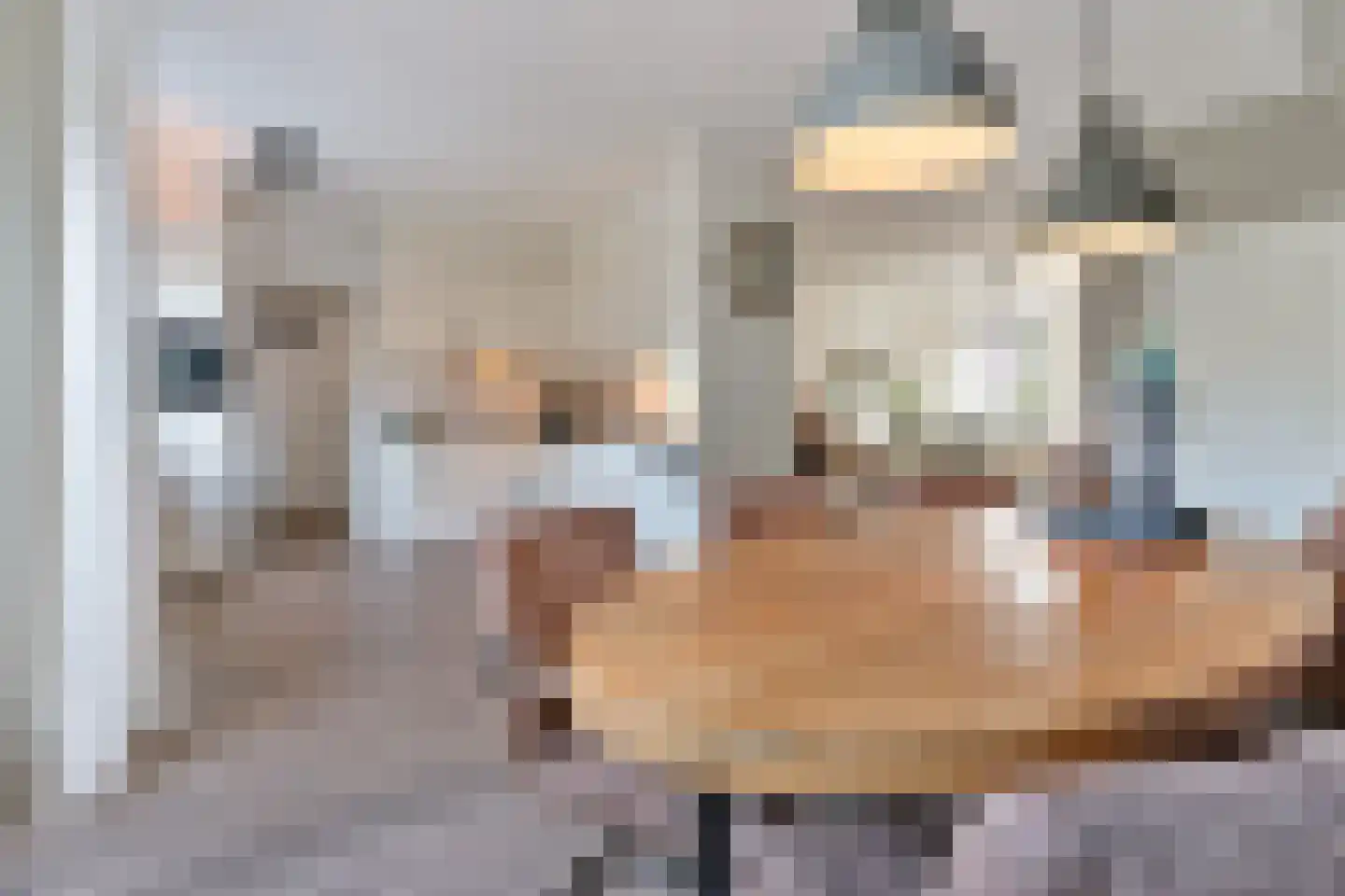 Gruttostraat 20 Ruinerwold thumbnail 10