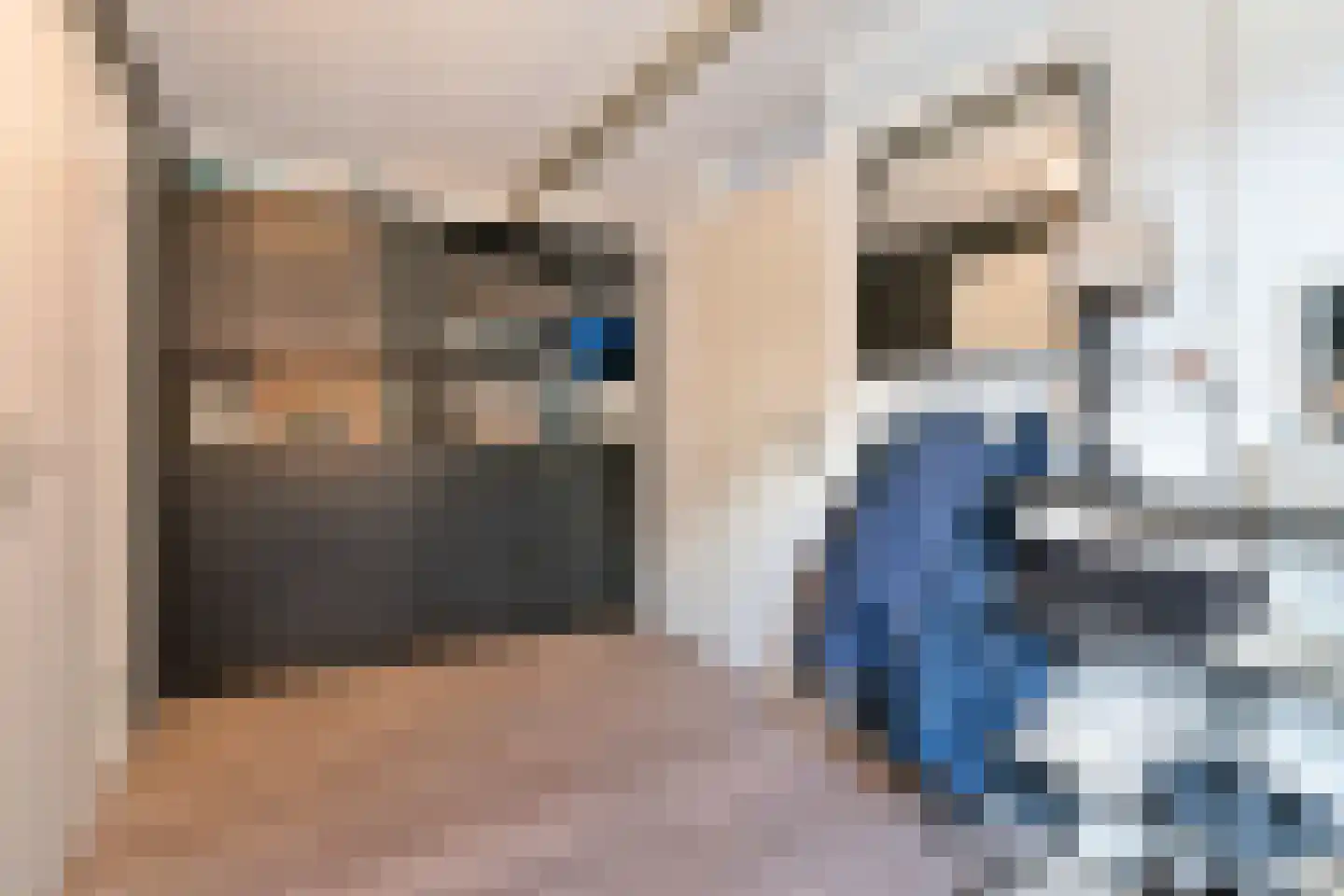 Gruttostraat 20 Ruinerwold thumbnail 17
