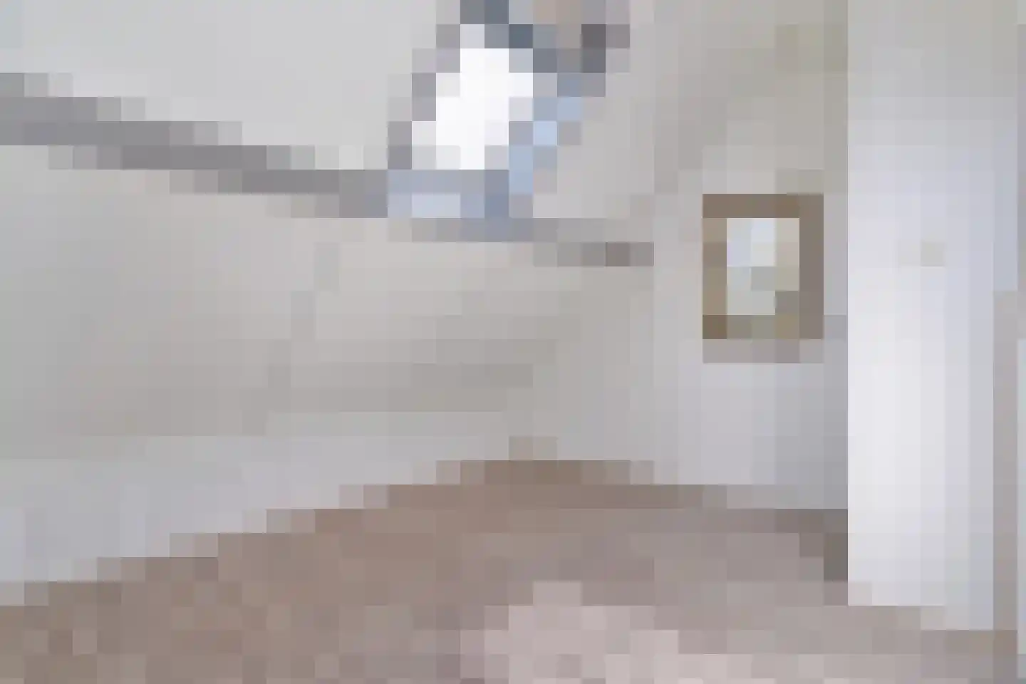 Gruttostraat 20 Ruinerwold thumbnail 30