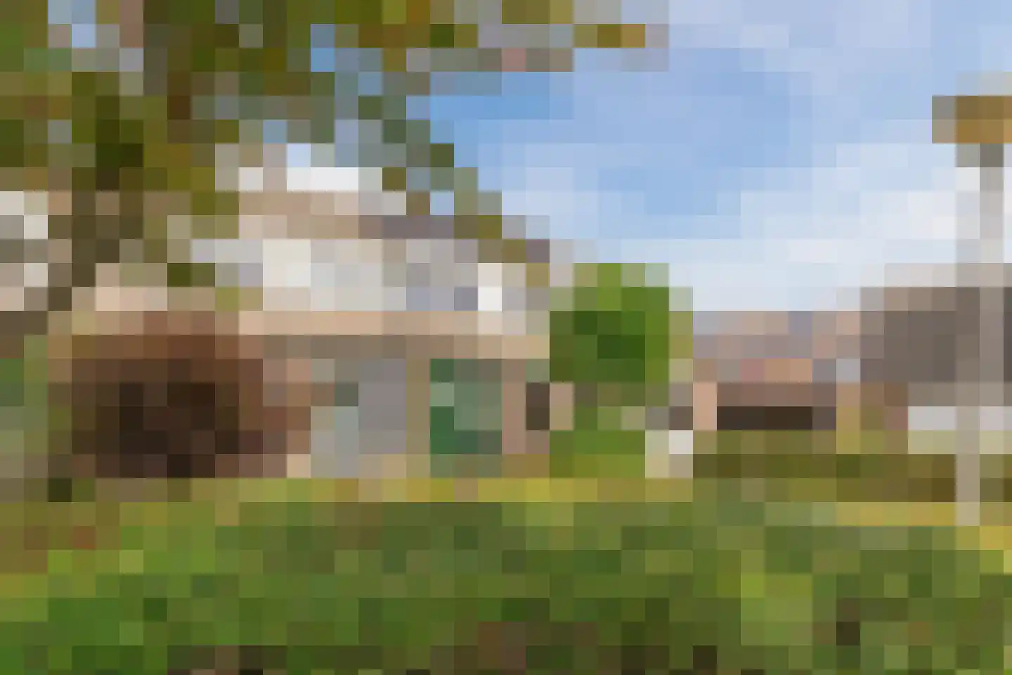 Gruttostraat 20 Ruinerwold thumbnail 34