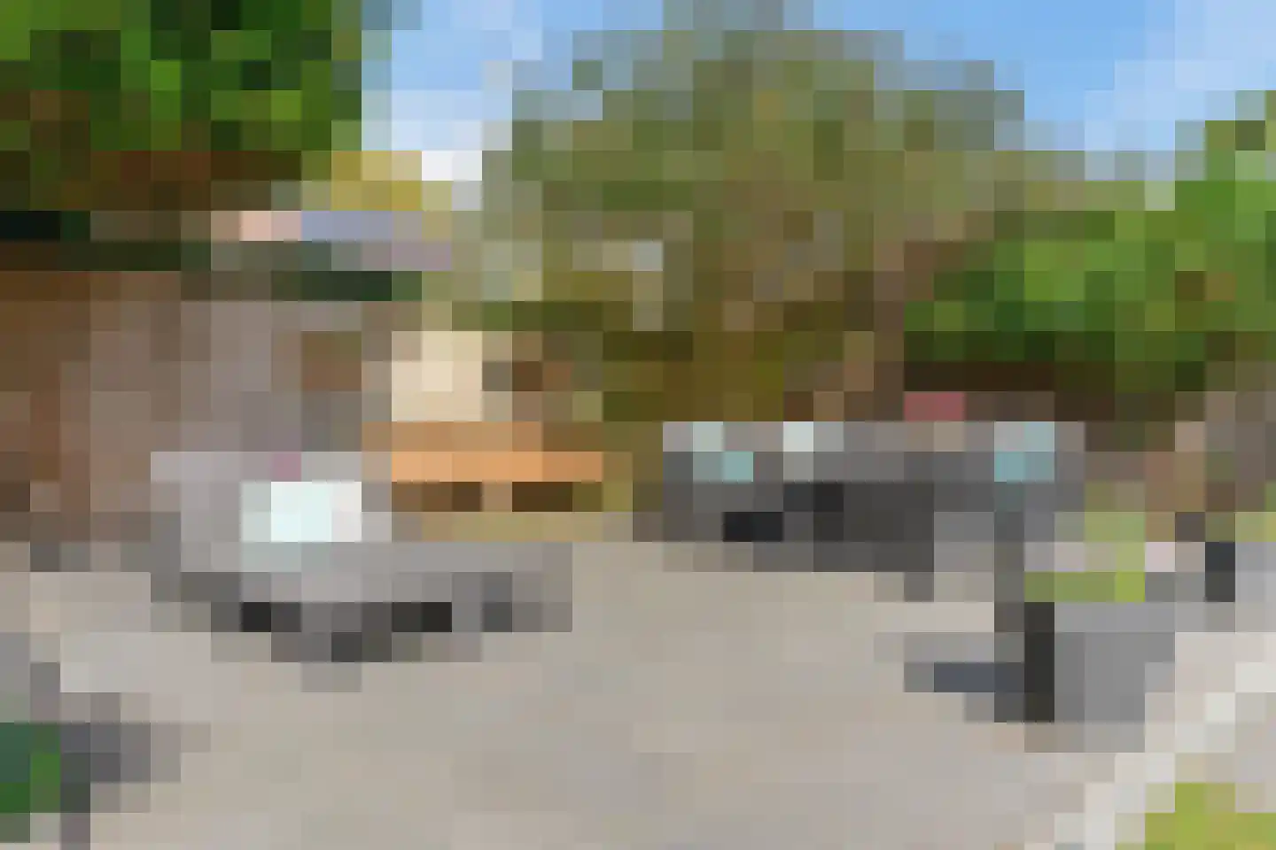 Gruttostraat 20 Ruinerwold thumbnail 42