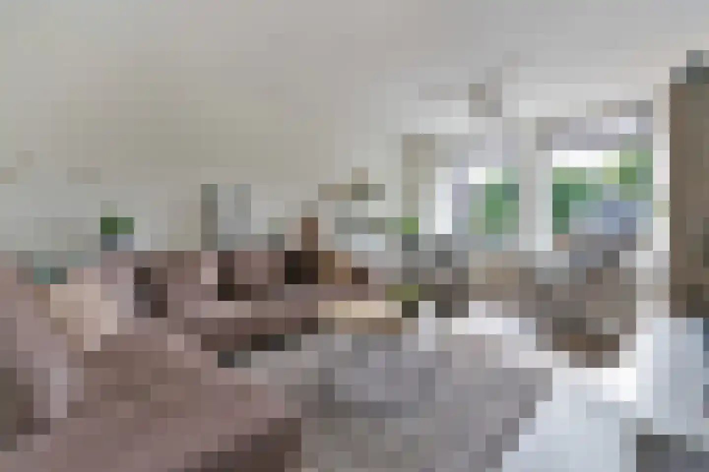 Gruttostraat 20 Ruinerwold thumbnail 6