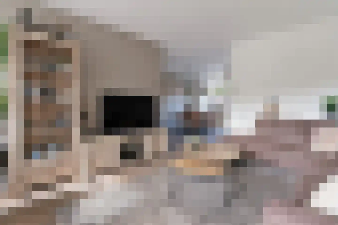 Gruttostraat 20 Ruinerwold thumbnail 8