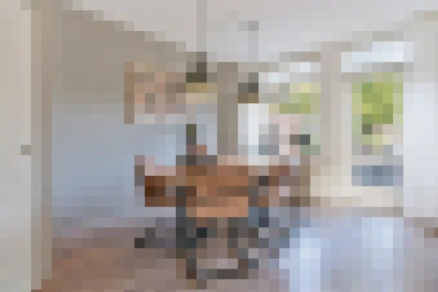 Gruttostraat 20 Ruinerwold thumbnail 9