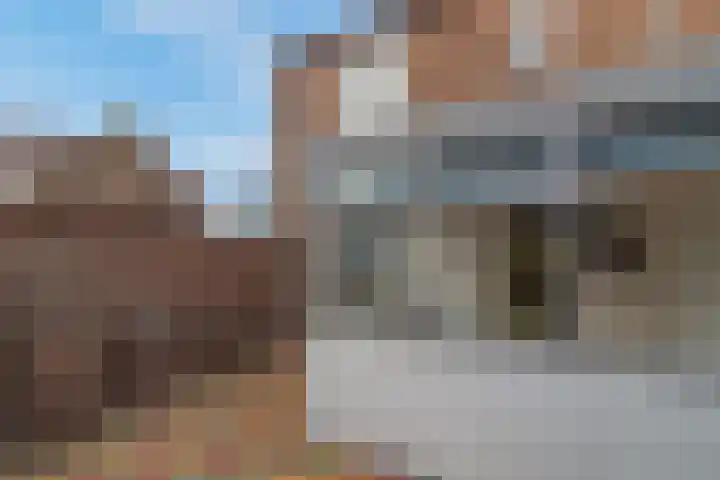 Gruttostraat 21 Monster thumbnail 10