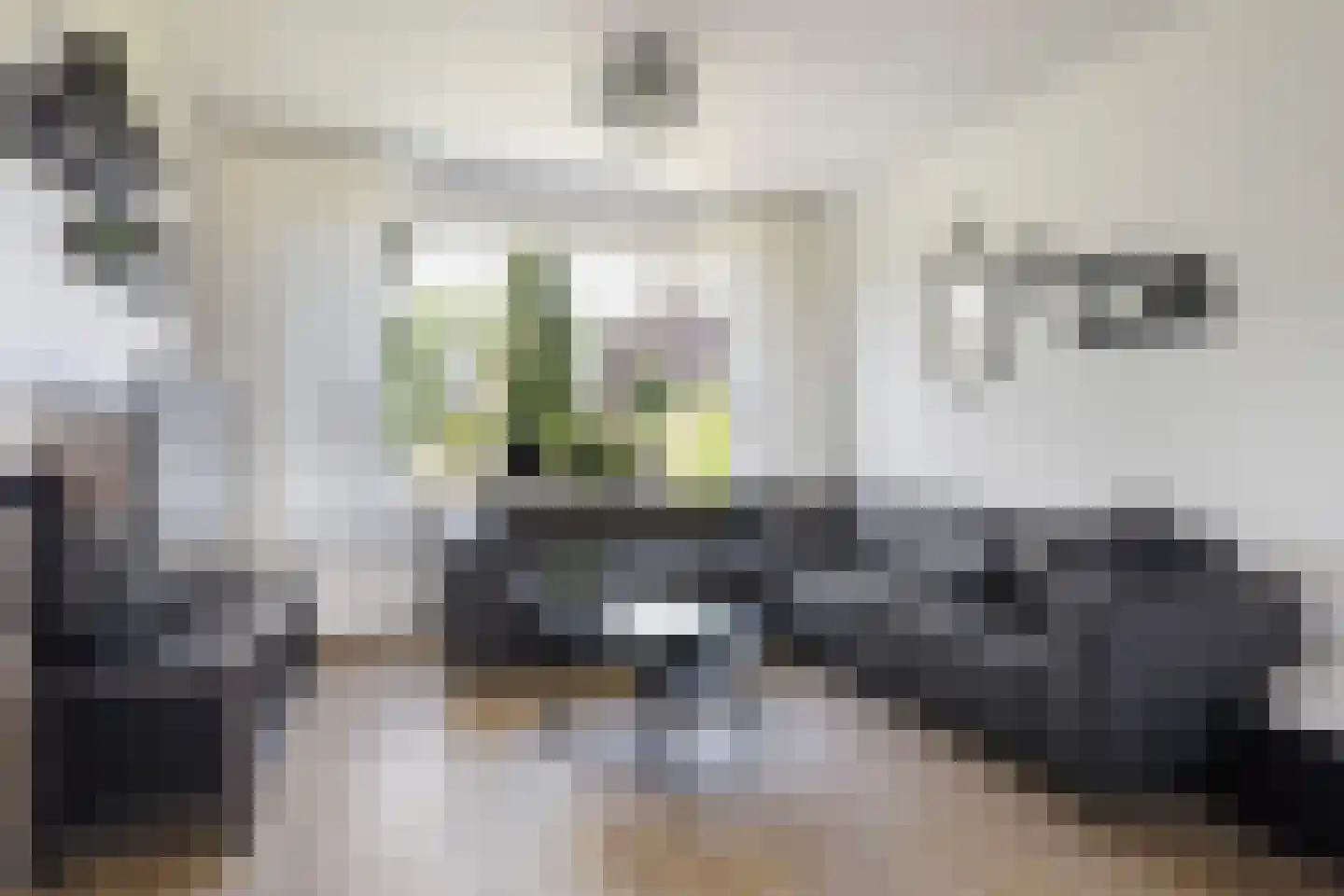 Gruttostraat 24 Kollum thumbnail 16