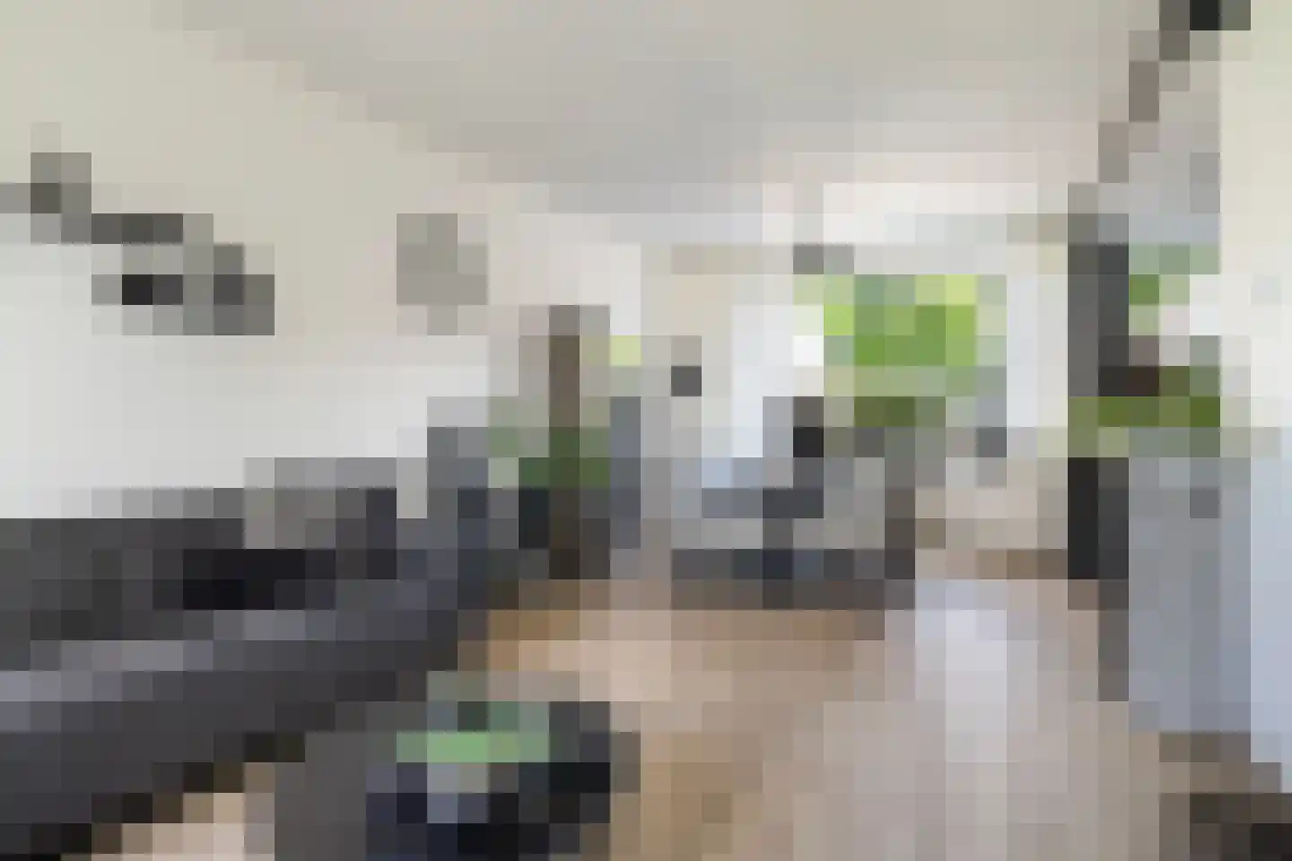 Gruttostraat 24 Kollum thumbnail 18