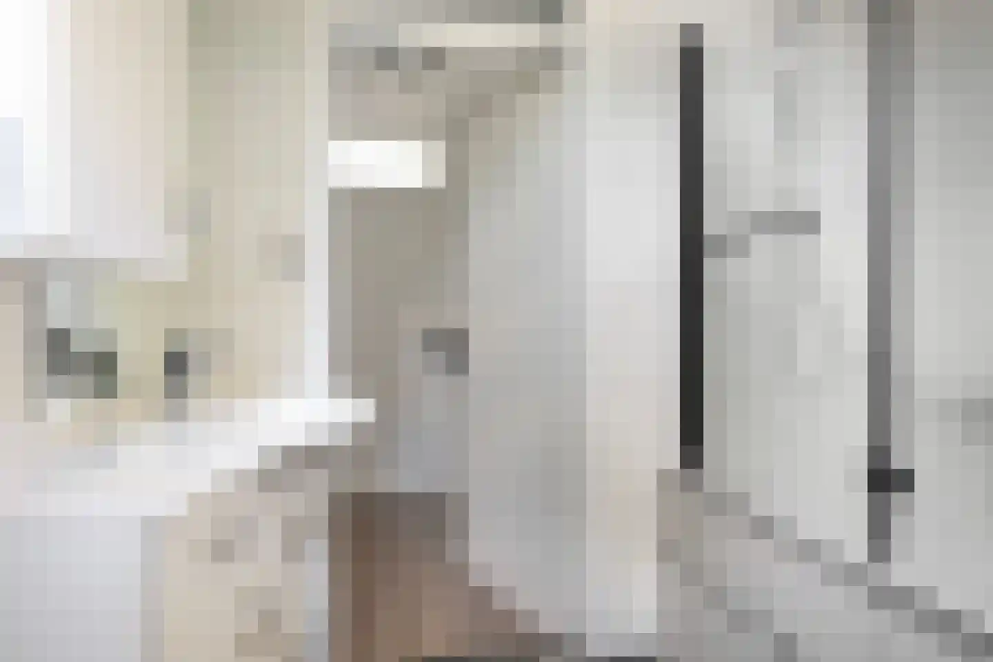 Gruttostraat 24 Kollum thumbnail 38