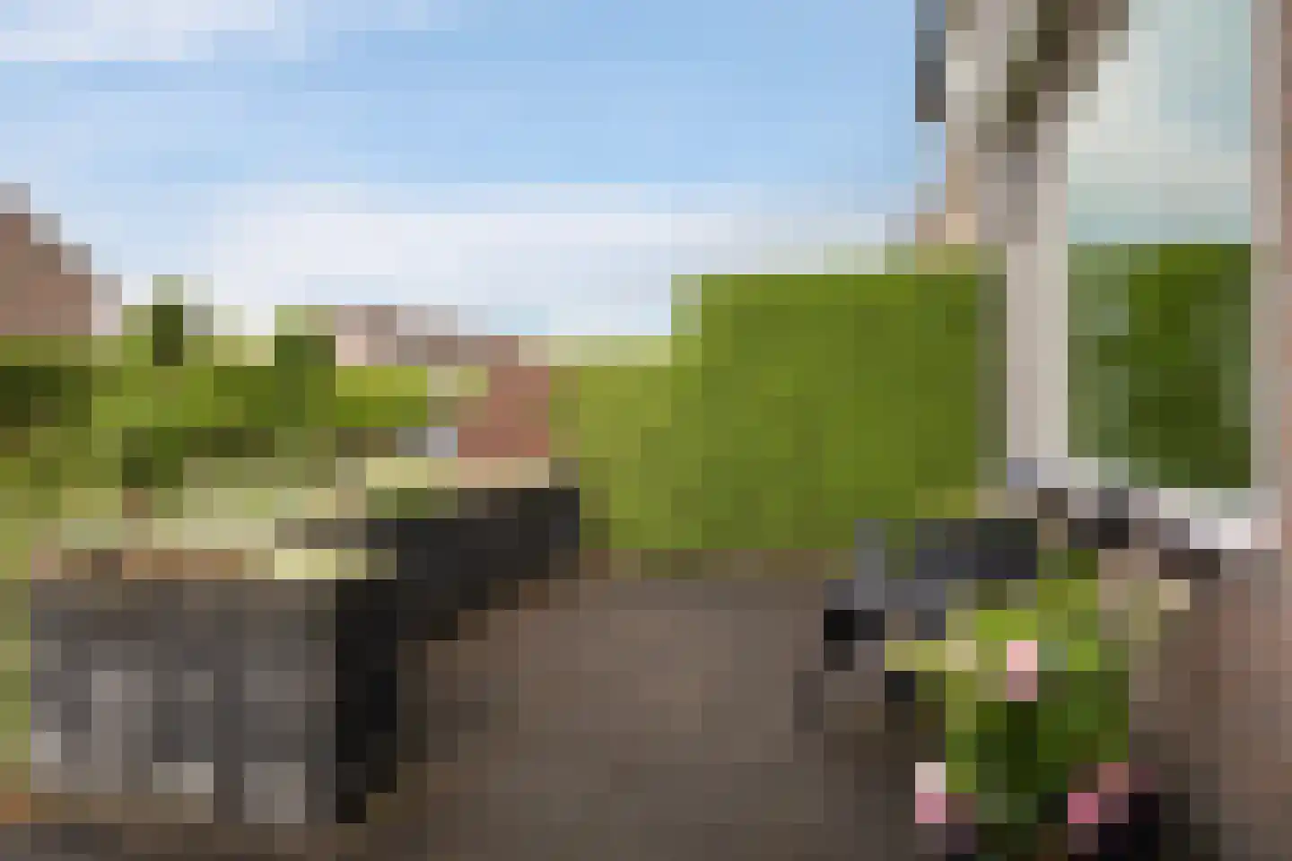 Gruttostraat 24 Kollum thumbnail 9