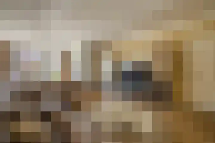 Gruttostraat 25 Velden thumbnail 4
