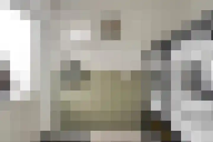 Gruttostraat 26 Epe thumbnail 13