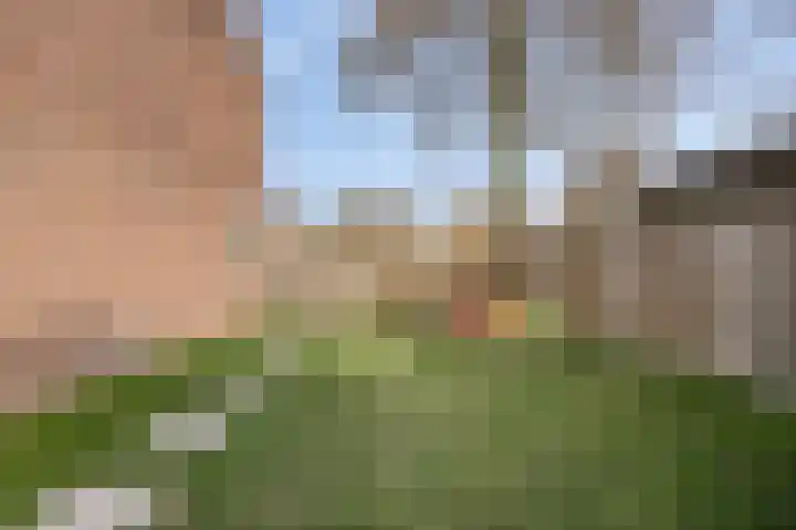 Gruttostraat 26 Epe thumbnail 28