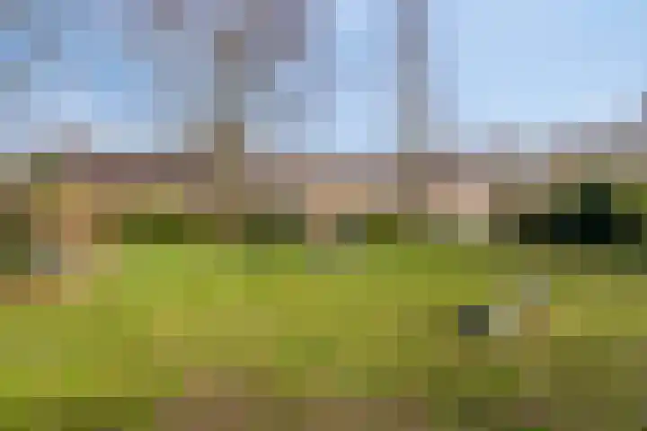 Gruttostraat 26 Epe thumbnail 33