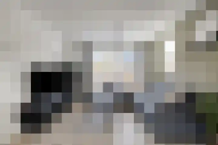Gruttostraat 26 Epe thumbnail 4