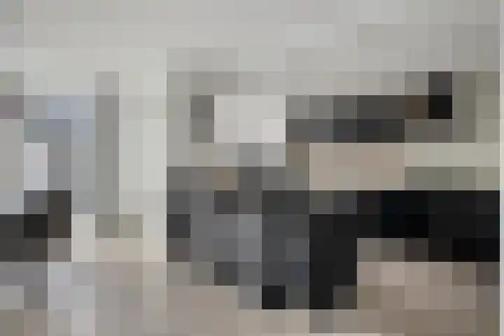 Gruttostraat 26 Epe thumbnail 7
