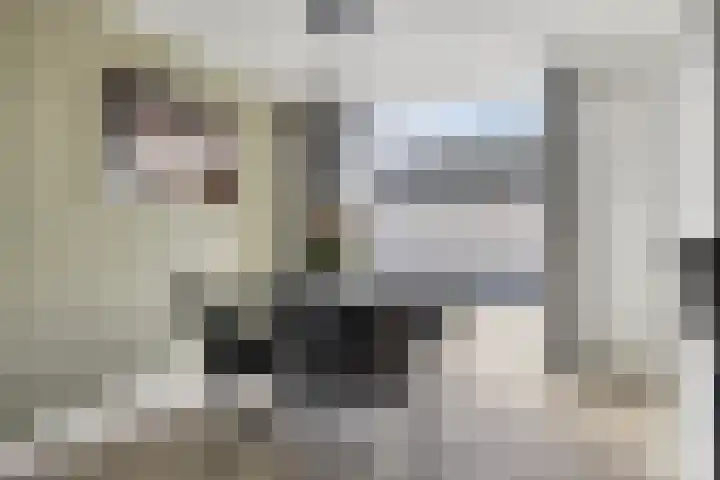 Gruttostraat 26 Epe thumbnail 8