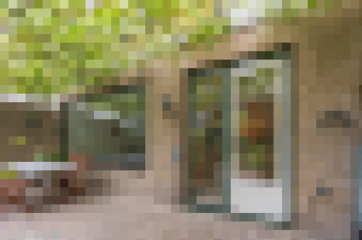 Gruttostraat 29 Bleiswijk thumbnail 21