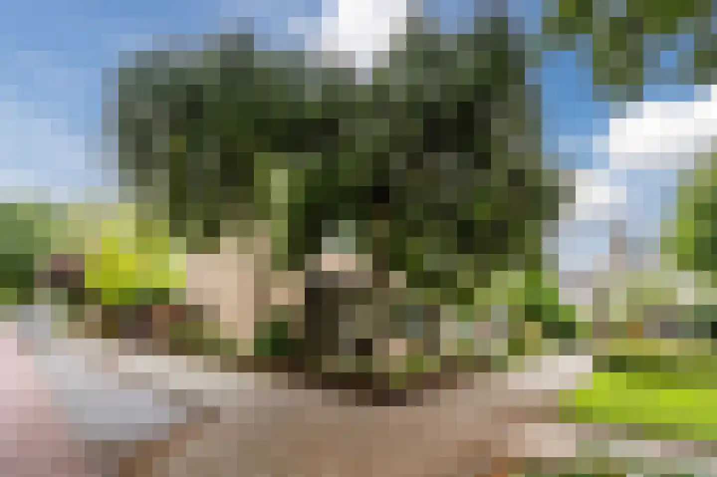 Gruttostraat 29 Bleiswijk thumbnail 24