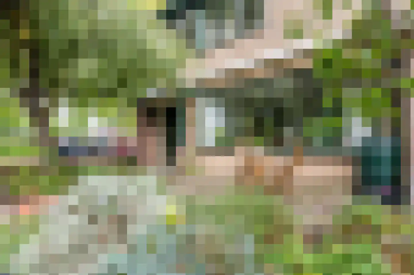 Gruttostraat 29 Bleiswijk thumbnail 25