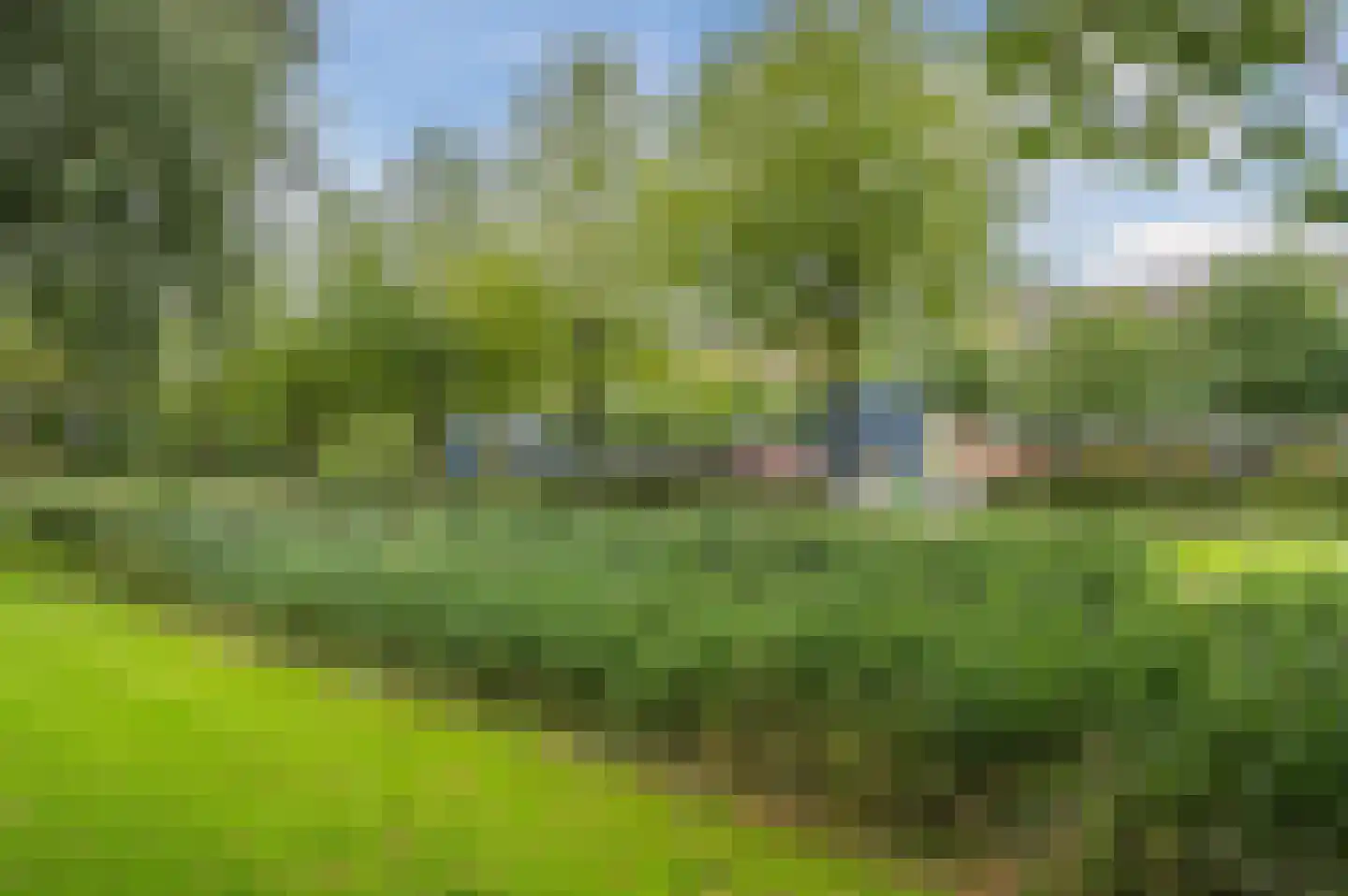 Gruttostraat 29 Bleiswijk thumbnail 27