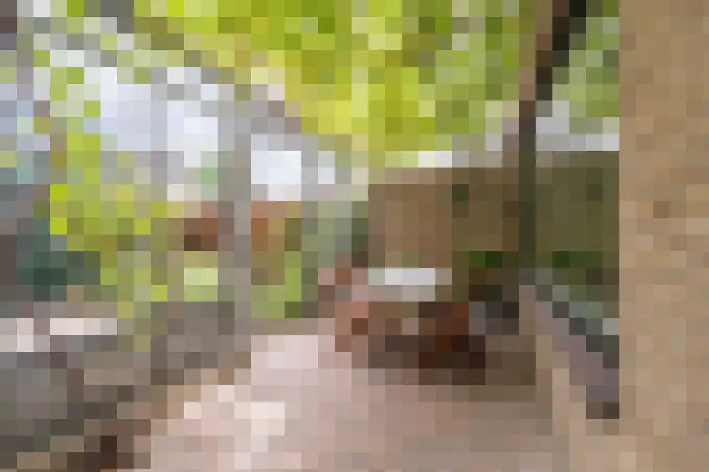 Gruttostraat 29 Bleiswijk thumbnail 4